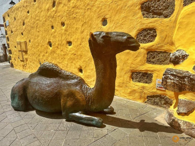 Casa de los Camellos, que ver en Agüimes