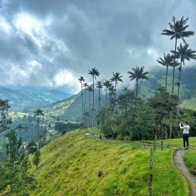 Rutas de senderismo por el Valle del Cocora. Descubre Colombia