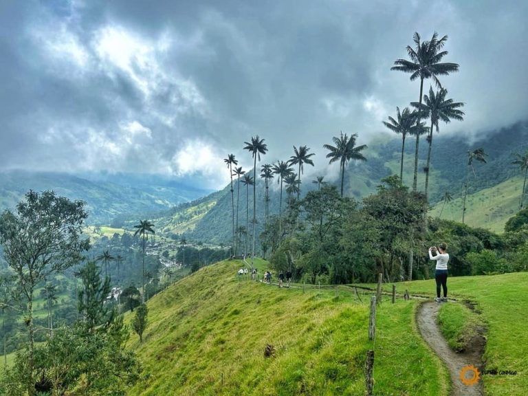 Rutas de senderismo por el Valle del Cocora. Descubre Colombia