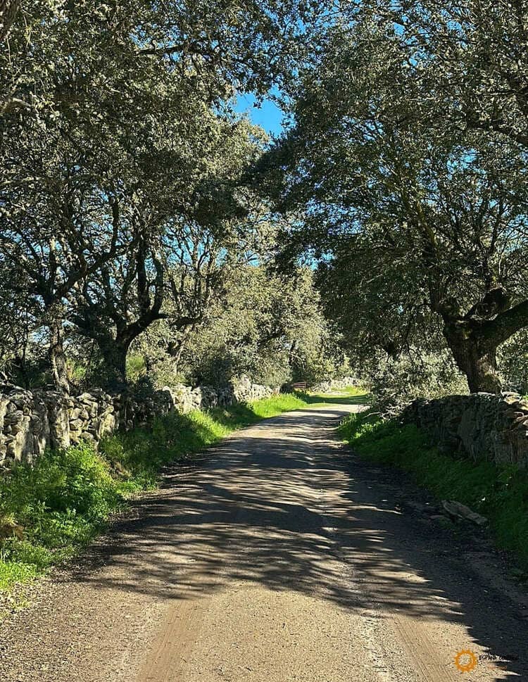 Camino para ir a la cascada