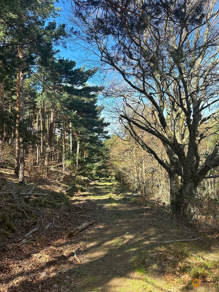 Ruta de las Carboneras en las afueras de Ágreda