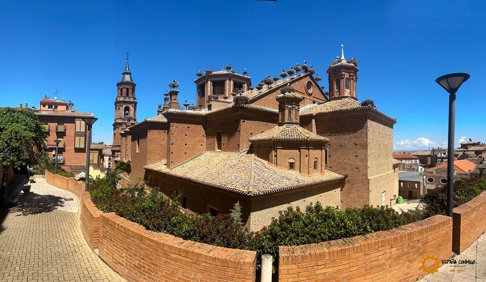 Colonia de Cigüeña Blanca en Alfaro