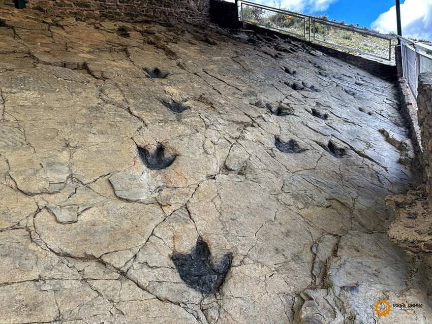 Huellas de dinosaurios en el Yacimiento Los Cayos