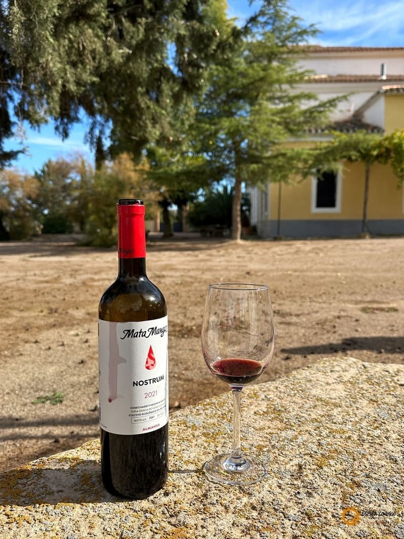 Bodega Matamangos, Ruta del Vino Almansa