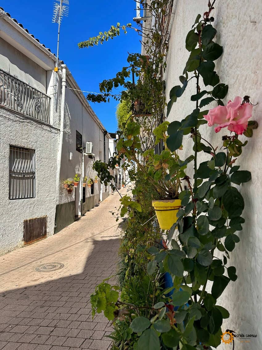 Qué ver en Hornos, una de las calles más bonitas