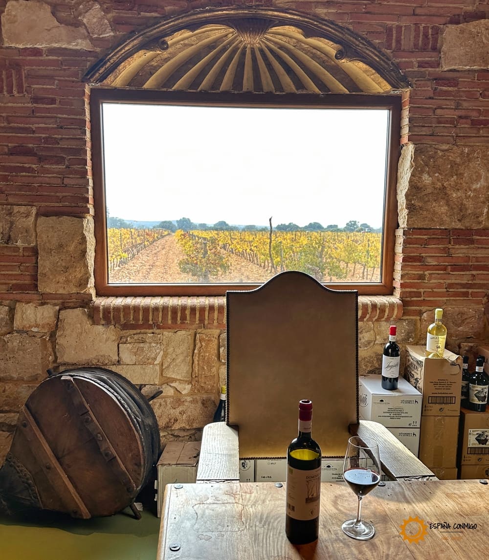 Ruta del Vino Almansa, Bodega Dominio Casalta