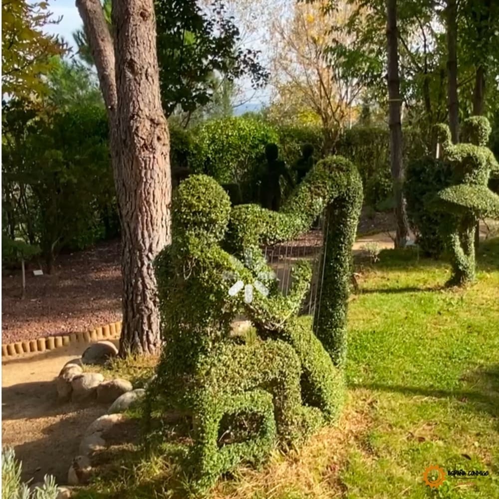 Bosque Encantado San Martín de Valdeiglesias