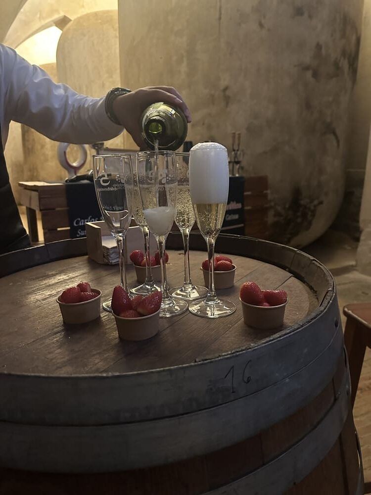 Degustacion Cava Plaza de Toros, Almendralejo, ruta del vino y del cava Ribera del Guadiana