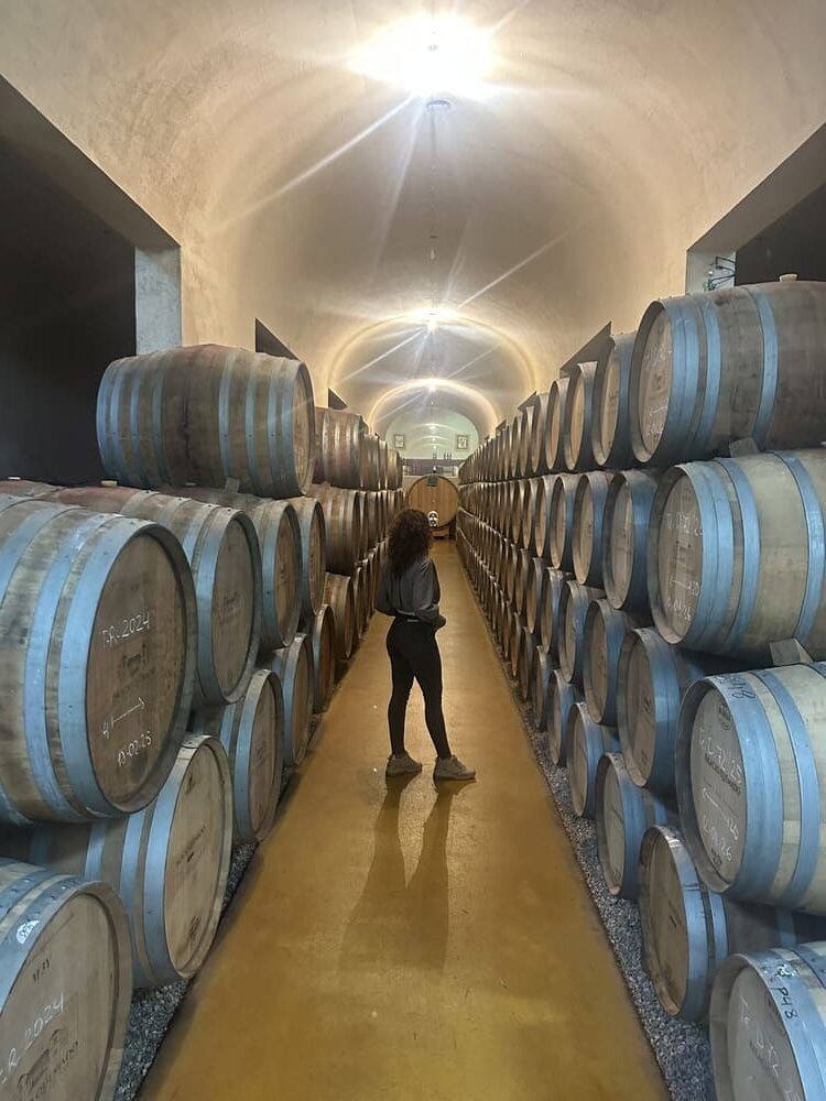 Palacio Quemado, ruta del Vino y del Cava Ribera del Guadiana
